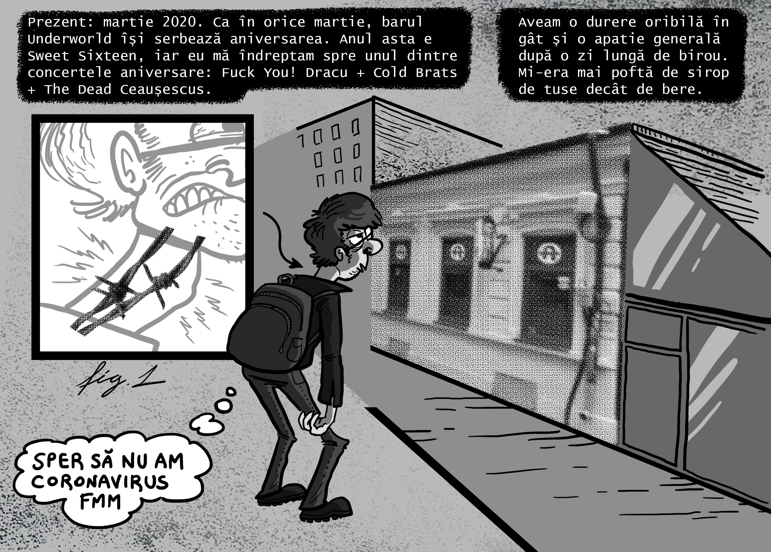 recenzie-ceausescus-02