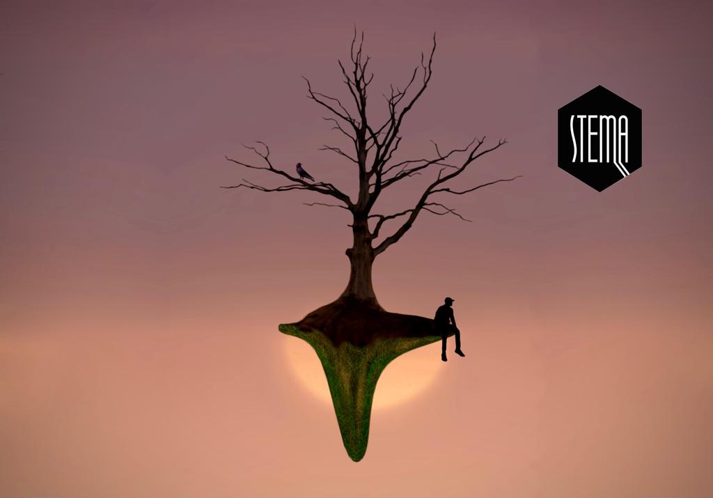 STEMA Pădurea cover